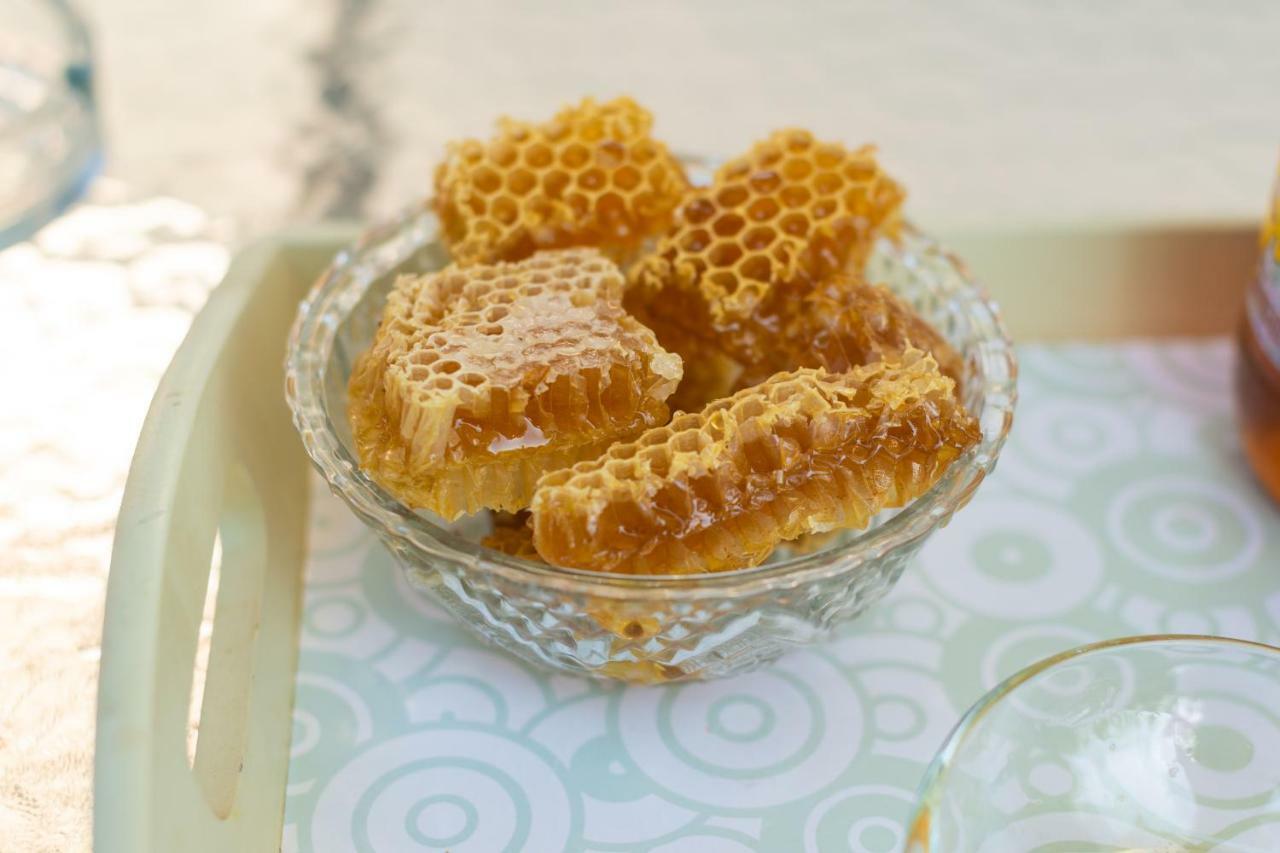 Honey Farm House Virpazar Exteriör bild