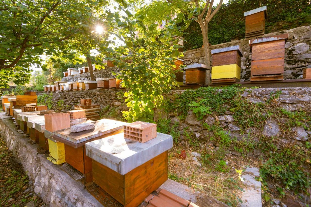 Honey Farm House Virpazar Exteriör bild